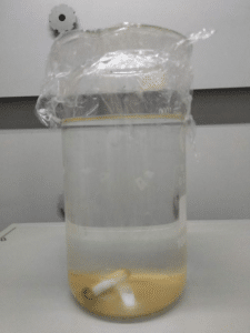 aniline wastewater treatment with boron doped diamond electrode