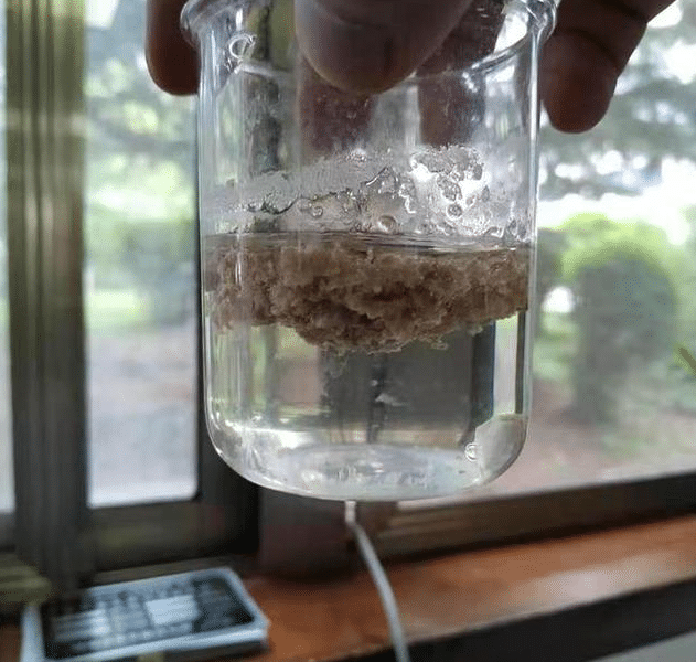 Slaughterhouse Wastewater Case Study Meat Processing Wastewater